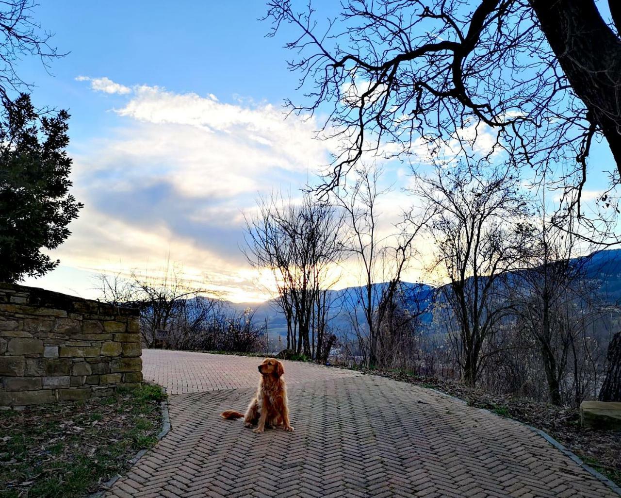 Agriturismo Il Salice Tizzano Val Parma Luaran gambar